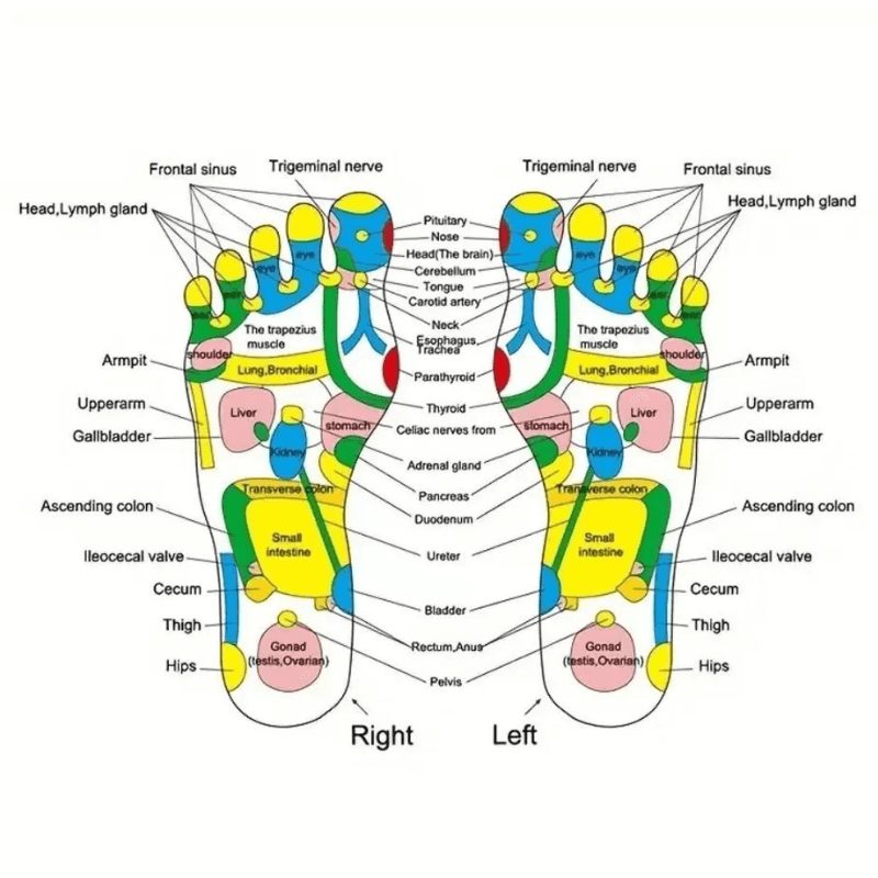 rejuvnate™ Acupuncture Foot Mat